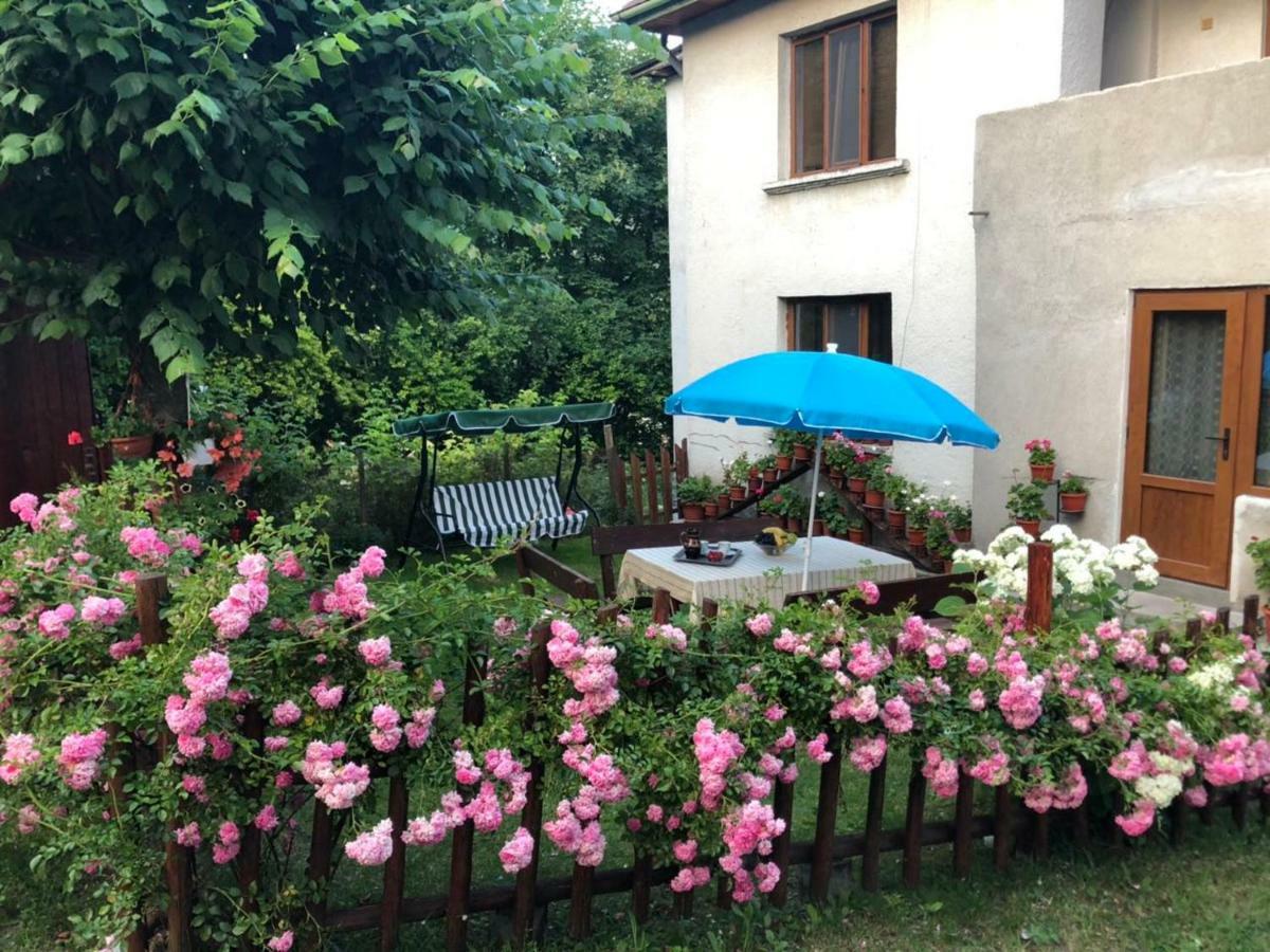 Guest House Emmy Trigrad Luaran gambar